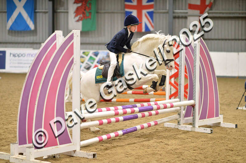 D4N_5624 - NorthcoteSun16thNov'25 Unaff.Jumping AvailableUntil16thDec'25