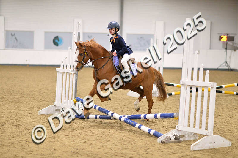 D4N_4718 - NorthcoteSun26thOct'25 Unaff.Jumping AvailableUntil28thNov'25