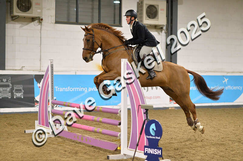 D4N_6350 - NorthcoteSun16thNov'25 Unaff.Jumping AvailableUntil16thDec'25