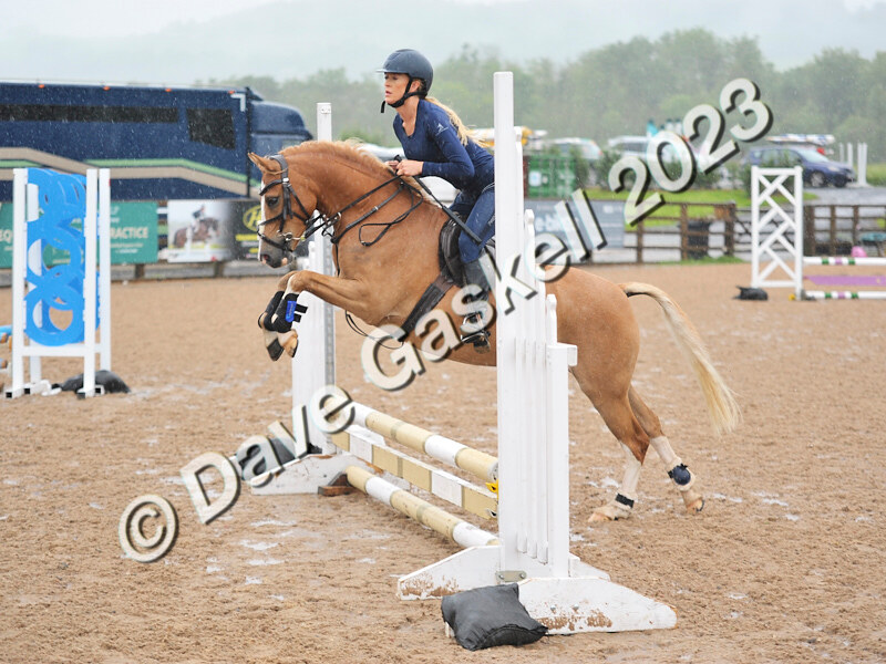 D8D_7091 - Juniors