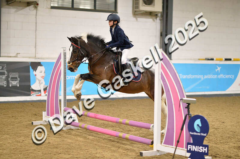 D4N_5555 - NorthcoteSun16thNov'25 Unaff.Jumping AvailableUntil16thDec'25