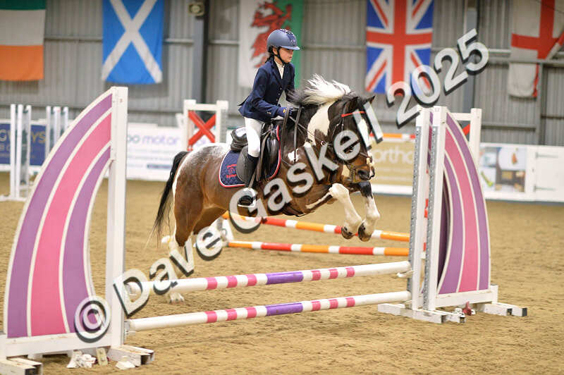 D4N_5556 - NorthcoteSun16thNov'25 Unaff.Jumping AvailableUntil16thDec'25