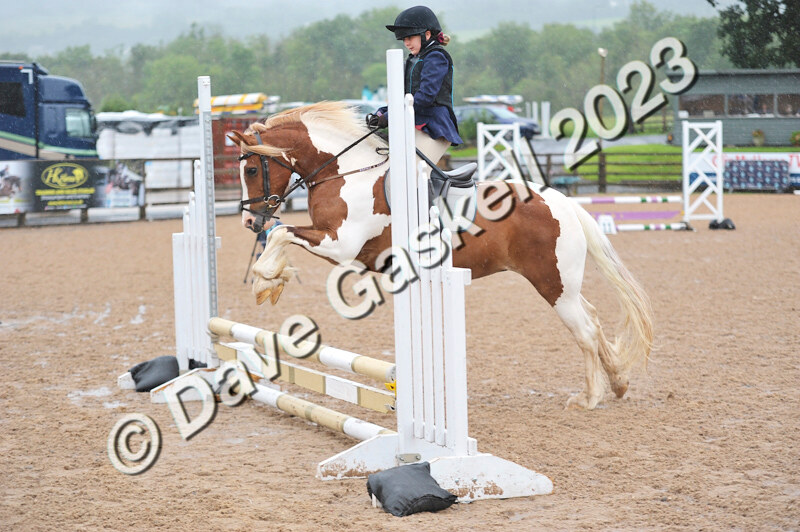 D8D_7108 - Juniors