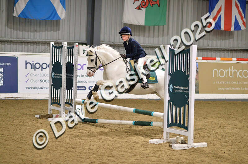 D4N_5579 - NorthcoteSun16thNov'25 Unaff.Jumping AvailableUntil16thDec'25