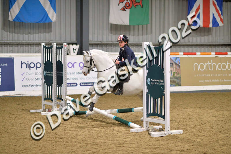 D4N_5523 - NorthcoteSun16thNov'25 Unaff.Jumping AvailableUntil16thDec'25