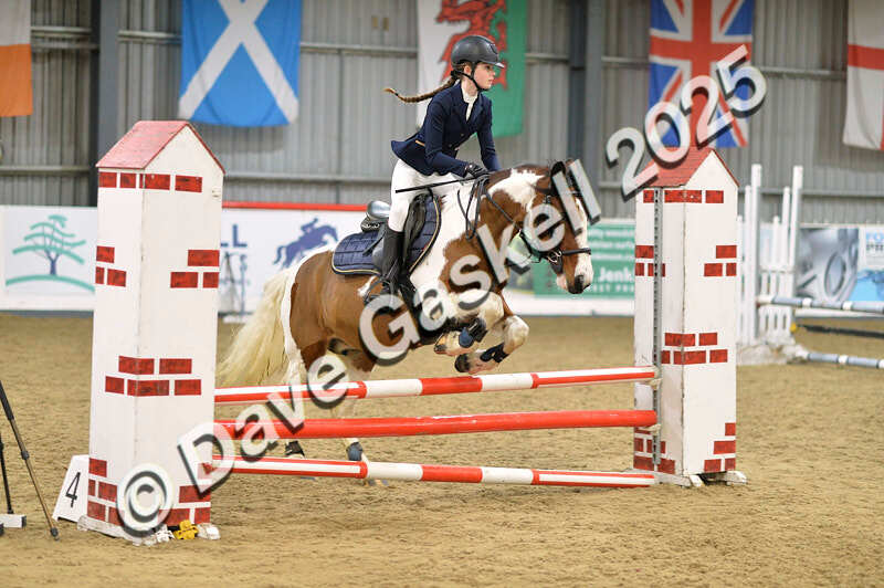 D4N_5731 - NorthcoteSun16thNov'25 Unaff.Jumping AvailableUntil16thDec'25