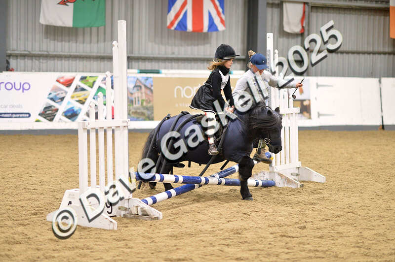 D4N_4676 - NorthcoteSun26thOct'25 Unaff.Jumping AvailableUntil28thNov'25