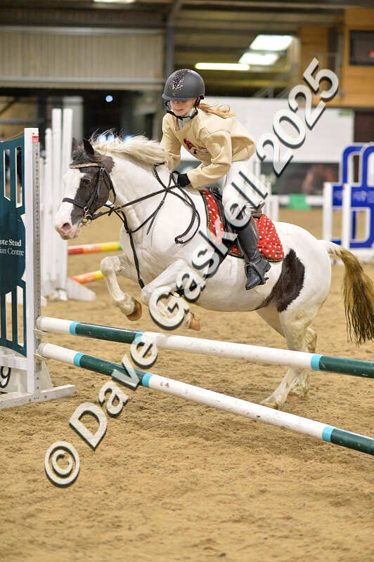 D4N_6767 - NorthcoteSat8thDec'25 XmasShowJumping AvailableUntil6thJan'26