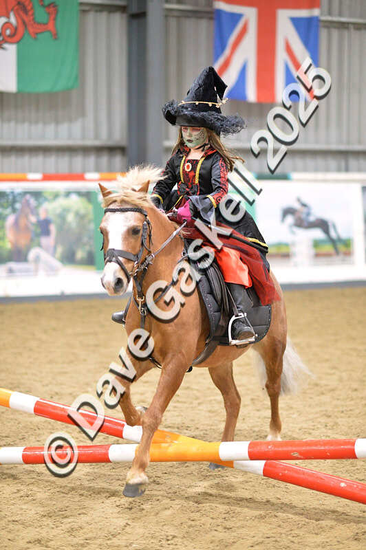 D4N_4693 - NorthcoteSun26thOct'25 Unaff.Jumping AvailableUntil28thNov'25