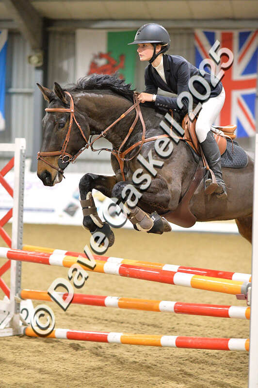 D4N_6444 - NorthcoteSun16thNov'25 Unaff.Jumping AvailableUntil16thDec'25