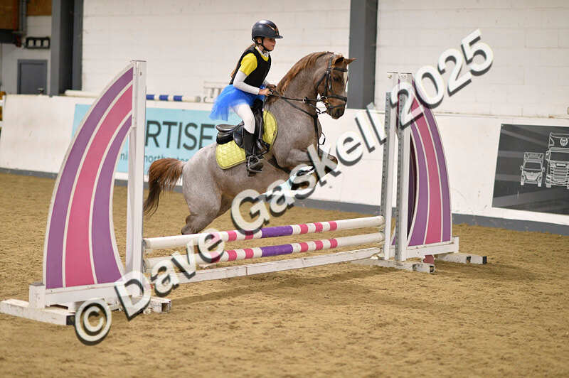 D4N_4838 - NorthcoteSun26thOct'25 Unaff.Jumping AvailableUntil28thNov'25