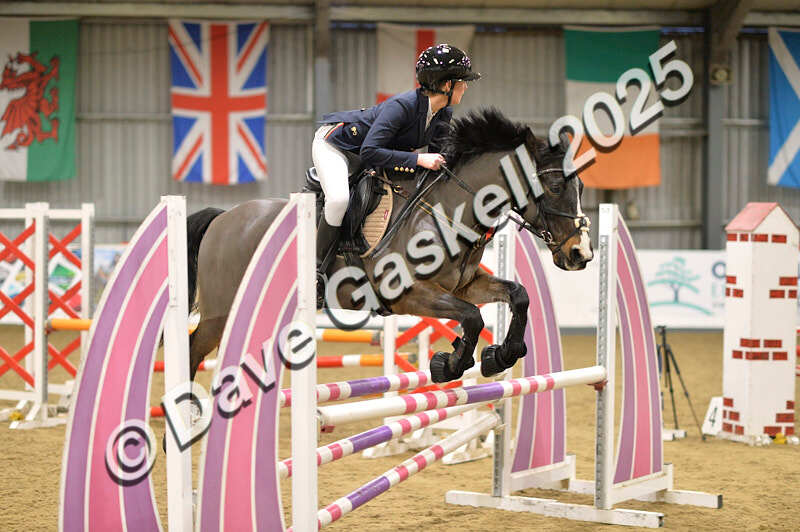 D4N_5951 - NorthcoteSun16thNov'25 Unaff.Jumping AvailableUntil16thDec'25