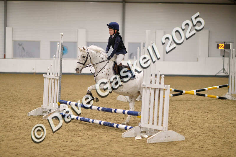 D4N_4854 - NorthcoteSun26thOct'25 Unaff.Jumping AvailableUntil28thNov'25