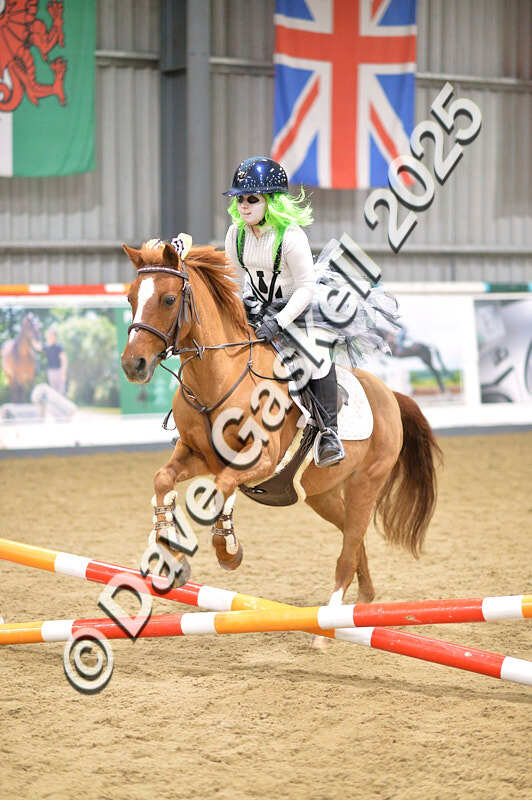 D4N_4699 - NorthcoteSun26thOct'25 Unaff.Jumping AvailableUntil28thNov'25