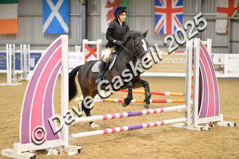 D4N_5575 - NorthcoteSun16thNov'25 Unaff.Jumping AvailableUntil16thDec'25