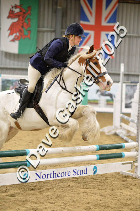 D4N_7127 - NorthcoteSat8thDec'25 XmasShowJumping AvailableUntil6thJan'26