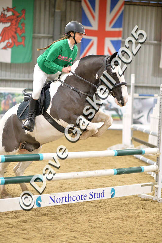D4N_6977 - NorthcoteSat8thDec'25 XmasShowJumping AvailableUntil6thJan'26