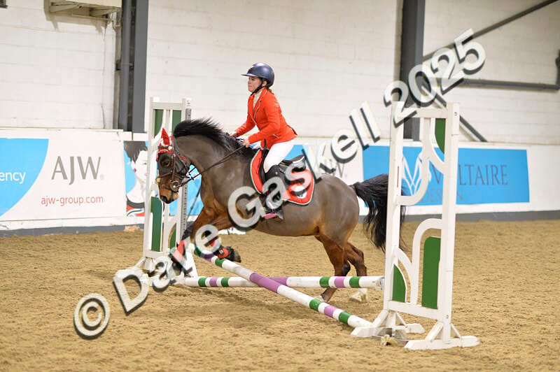 D4N_6689 - NorthcoteSat8thDec'25 XmasShowJumping AvailableUntil6thJan'26