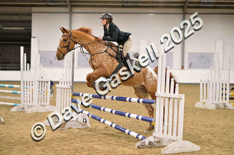 D4N_5389 - NorthcoteSun26thOct'25 Unaff.Jumping AvailableUntil28thNov'25