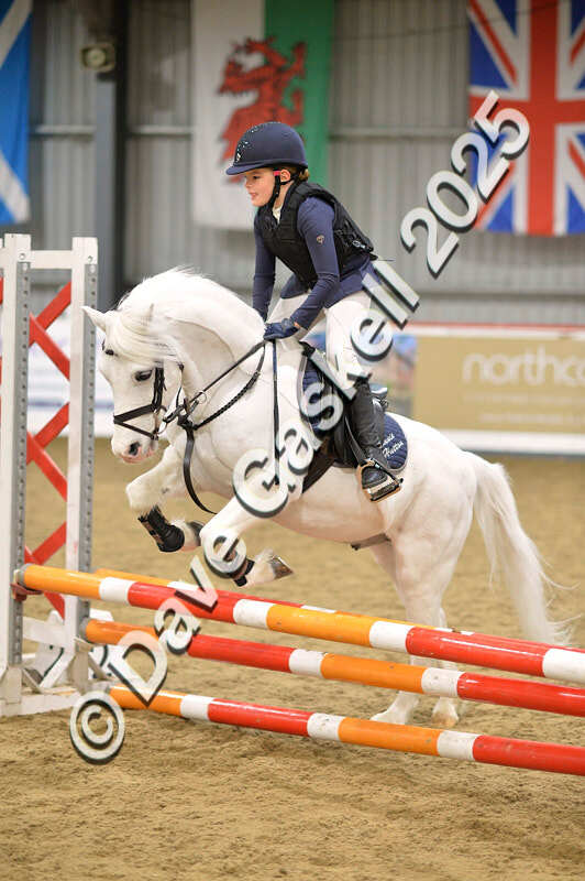 D4N_5602 - NorthcoteSun16thNov'25 Unaff.Jumping AvailableUntil16thDec'25