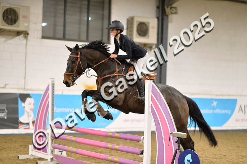 D4N_6415 - NorthcoteSun16thNov'25 Unaff.Jumping AvailableUntil16thDec'25