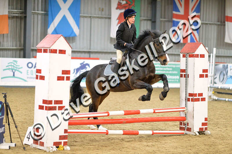 D4N_5615 - NorthcoteSun16thNov'25 Unaff.Jumping AvailableUntil16thDec'25