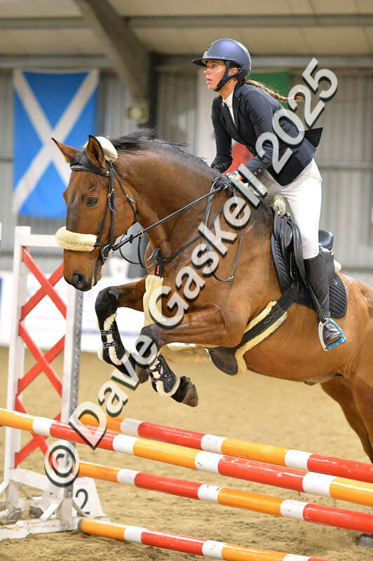 D4N_6329 - NorthcoteSun16thNov'25 Unaff.Jumping AvailableUntil16thDec'25