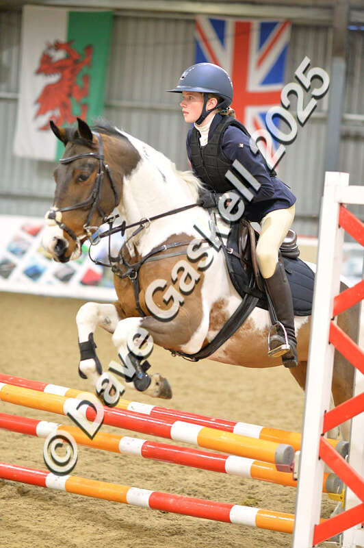 D4N_5795 - NorthcoteSun16thNov'25 Unaff.Jumping AvailableUntil16thDec'25