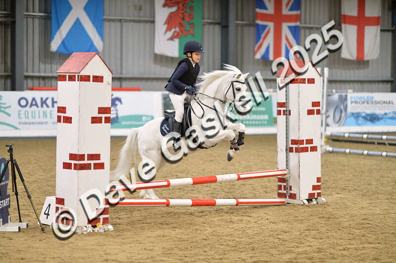 D4N_5547 - NorthcoteSun16thNov'25 Unaff.Jumping AvailableUntil16thDec'25