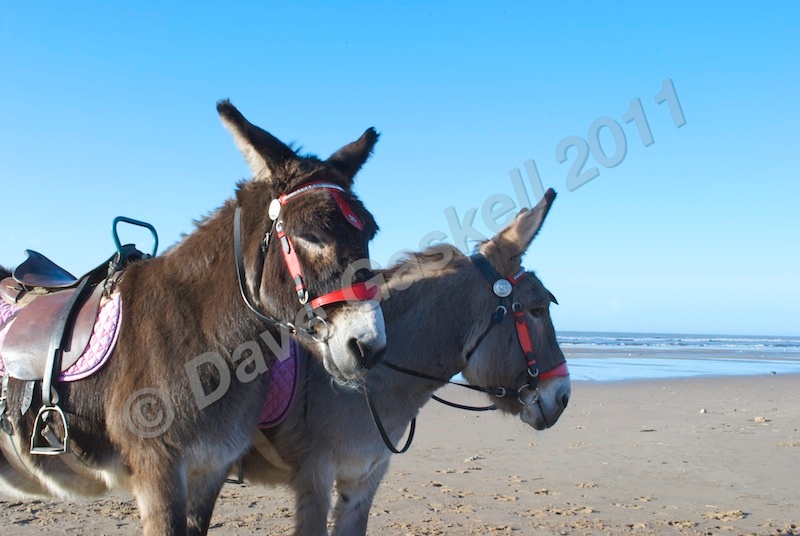 DSC_0629 - Blackpool & Lytham