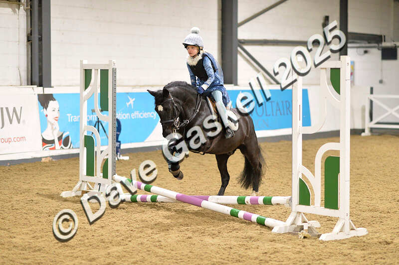 D4N_6608 - NorthcoteSat8thDec'25 XmasShowJumping AvailableUntil6thJan'26
