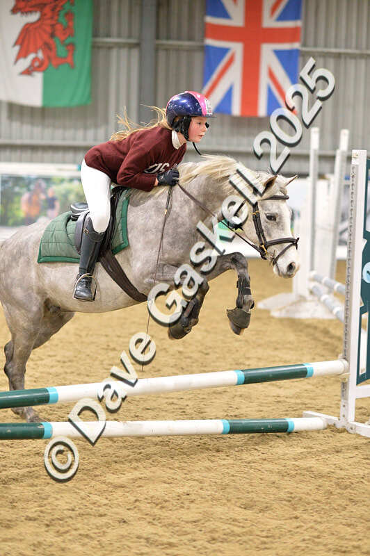 D4N_6744 - NorthcoteSat8thDec'25 XmasShowJumping AvailableUntil6thJan'26