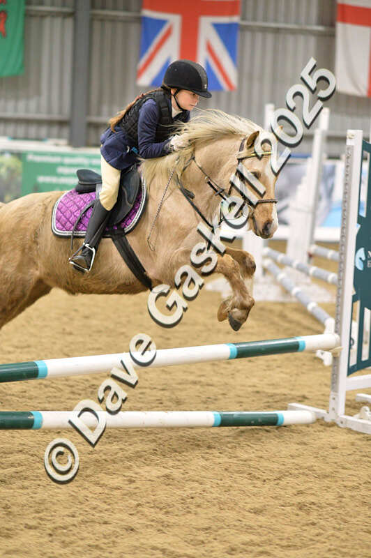 D4N_6797 - NorthcoteSat8thDec'25 XmasShowJumping AvailableUntil6thJan'26