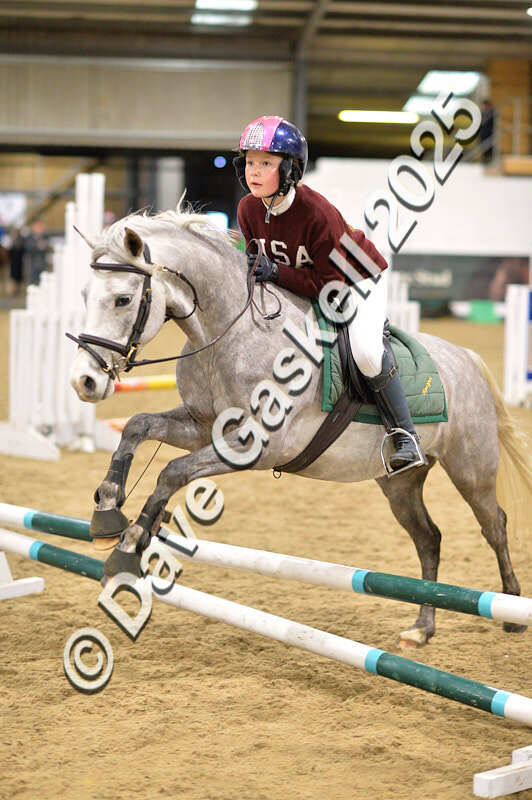 D4N_6747 - NorthcoteSat8thDec'25 XmasShowJumping AvailableUntil6thJan'26