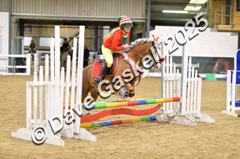 D4N_7112 - NorthcoteSat8thDec'25 XmasShowJumping AvailableUntil6thJan'26