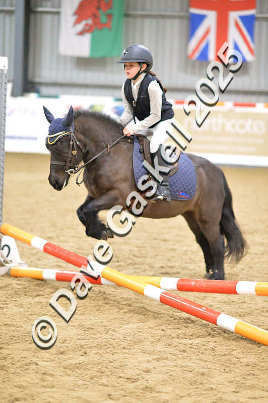 D4N_5511 - NorthcoteSun16thNov'25 Unaff.Jumping AvailableUntil16thDec'25