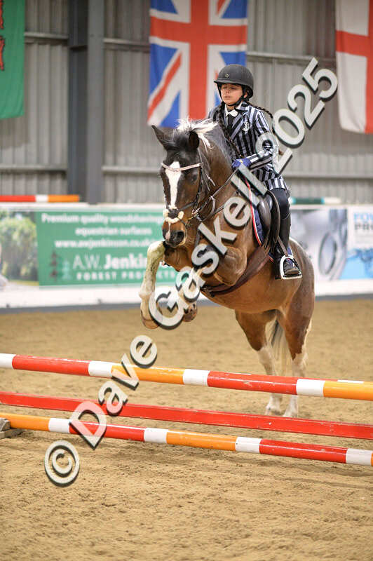 D4N_4894 - NorthcoteSun26thOct'25 Unaff.Jumping AvailableUntil28thNov'25