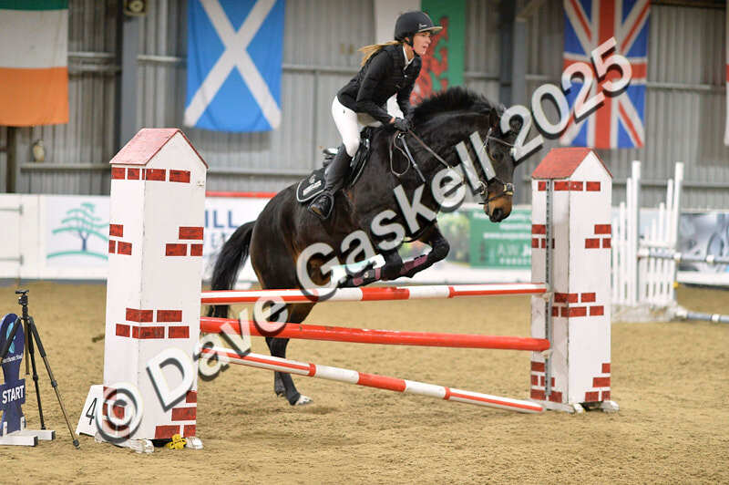 D4N_6458 - NorthcoteSun16thNov'25 Unaff.Jumping AvailableUntil16thDec'25