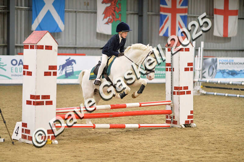 D4N_5621 - NorthcoteSun16thNov'25 Unaff.Jumping AvailableUntil16thDec'25