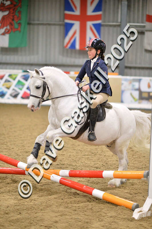 D4N_5521 - NorthcoteSun16thNov'25 Unaff.Jumping AvailableUntil16thDec'25