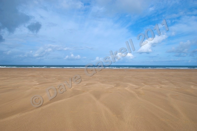DSC_5593 - Beach & Surf Scenes