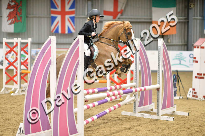 D4N_5838 - NorthcoteSun16thNov'25 Unaff.Jumping AvailableUntil16thDec'25