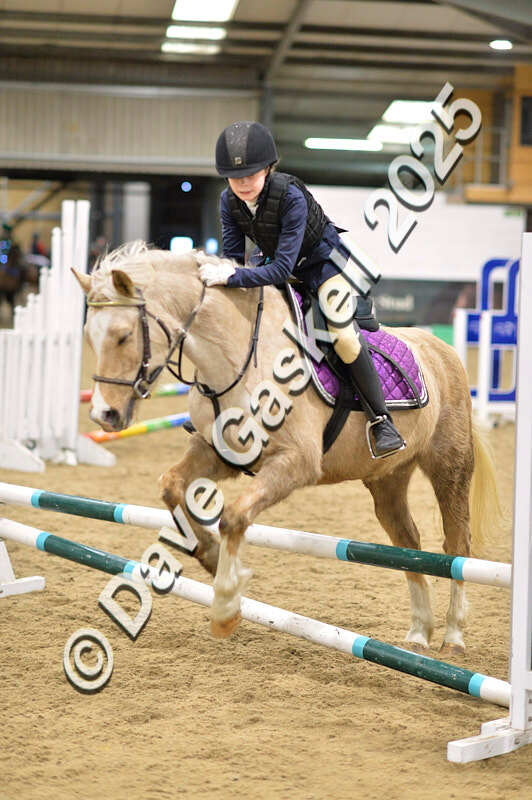 D4N_6799 - NorthcoteSat8thDec'25 XmasShowJumping AvailableUntil6thJan'26