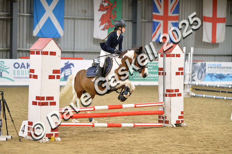 D4N_5631 - NorthcoteSun16thNov'25 Unaff.Jumping AvailableUntil16thDec'25