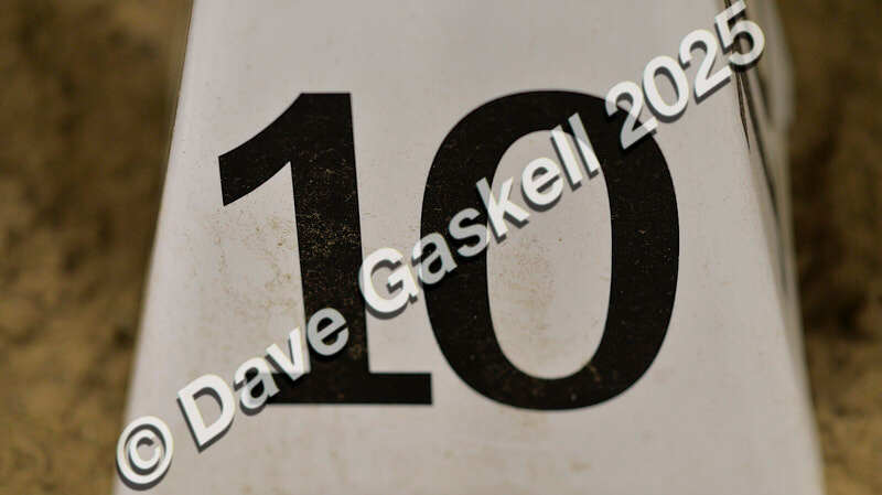 D4N_6418 - NorthcoteSun16thNov'25 Unaff.Jumping AvailableUntil16thDec'25