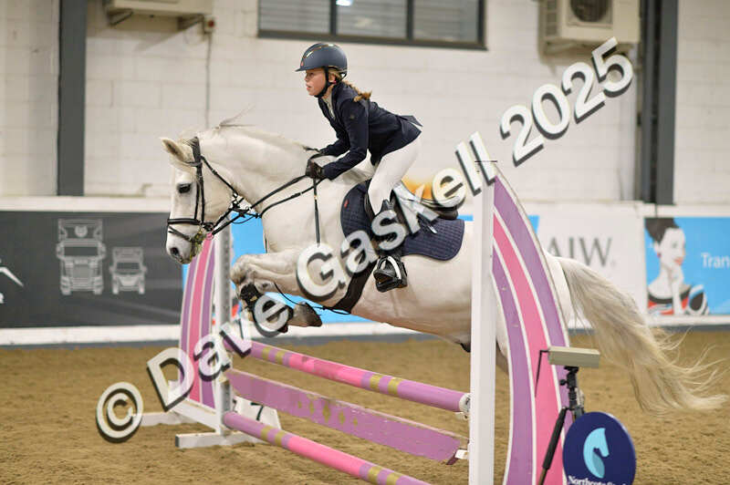 D4N_5693 - NorthcoteSun16thNov'25 Unaff.Jumping AvailableUntil16thDec'25