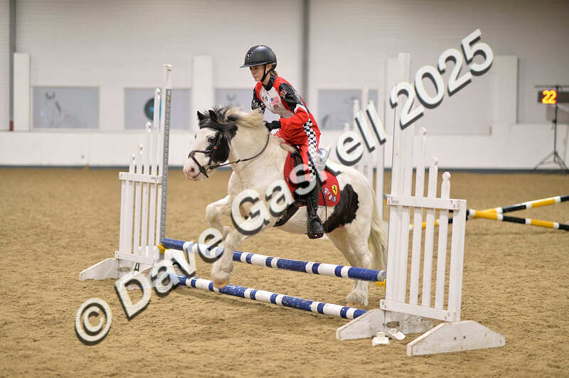 D4N_4788 - NorthcoteSun26thOct'25 Unaff.Jumping AvailableUntil28thNov'25