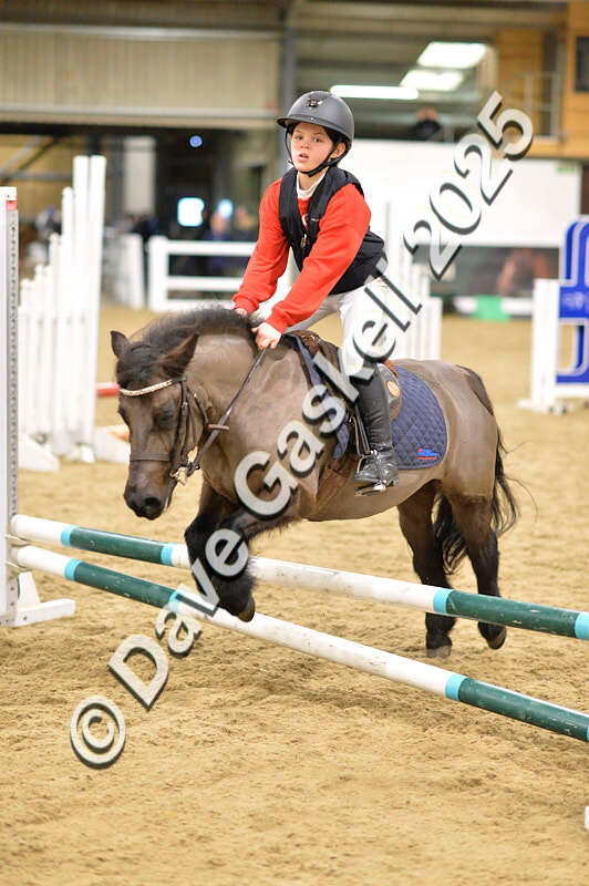 D4N_6681 - NorthcoteSat8thDec'25 XmasShowJumping AvailableUntil6thJan'26