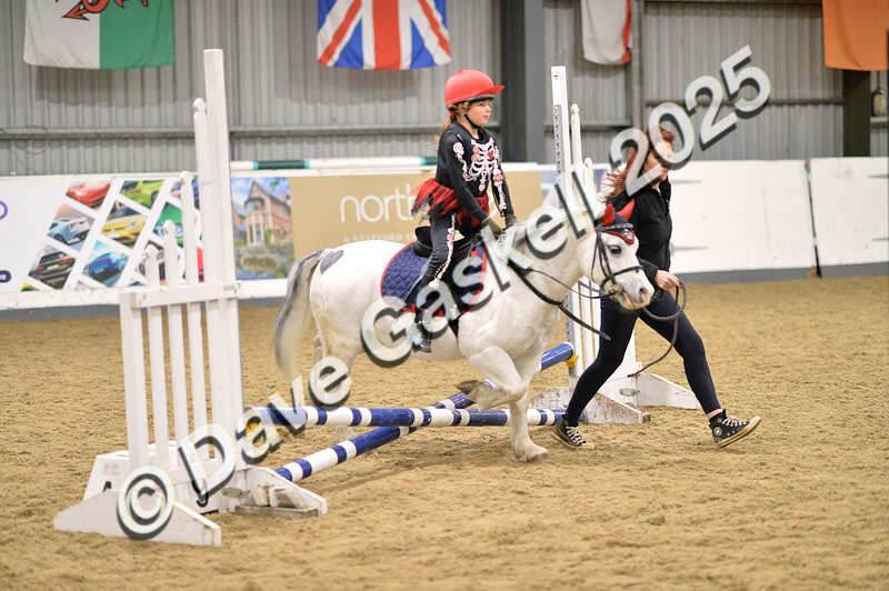 D4N_4628 - NorthcoteSun26thOct'25 Unaff.Jumping AvailableUntil28thNov'25