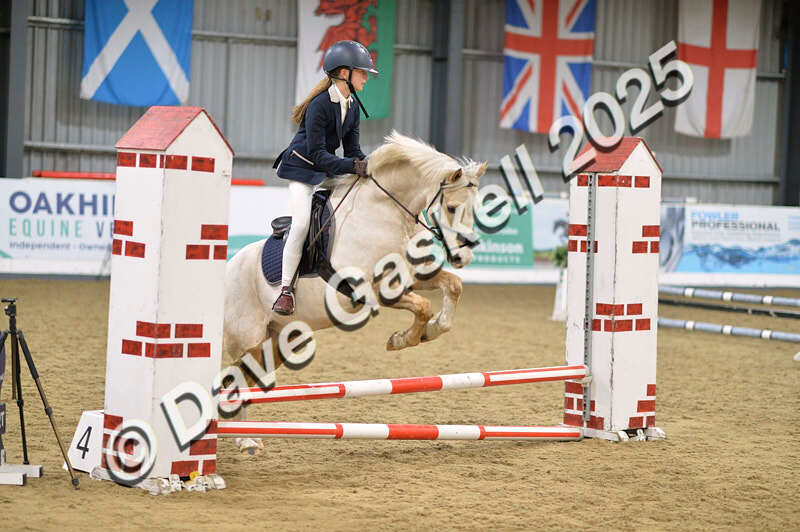 D4N_5541 - NorthcoteSun16thNov'25 Unaff.Jumping AvailableUntil16thDec'25